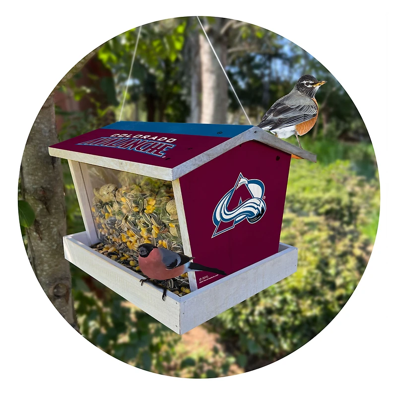Colorado Avalanche Team Pride Bird Feeder