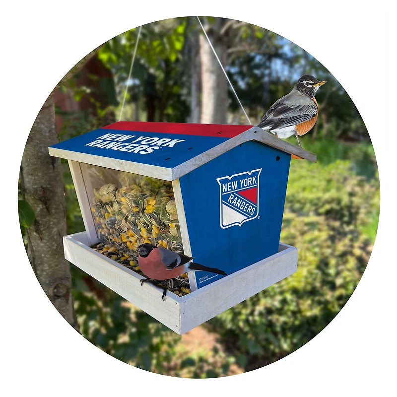 New York Rangers Team Pride Bird Feeder