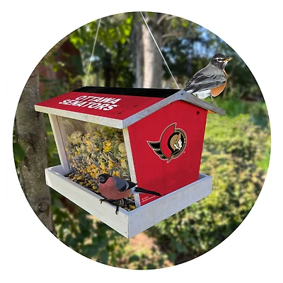 Ottawa Senators Team Pride Bird Feeder