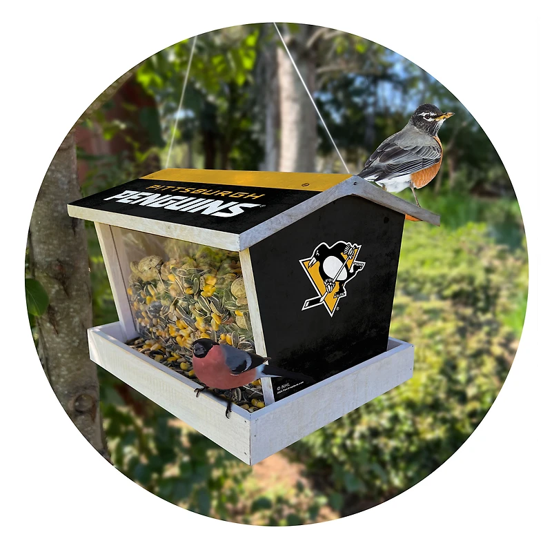 Pittsburgh Penguins Team Pride Bird Feeder