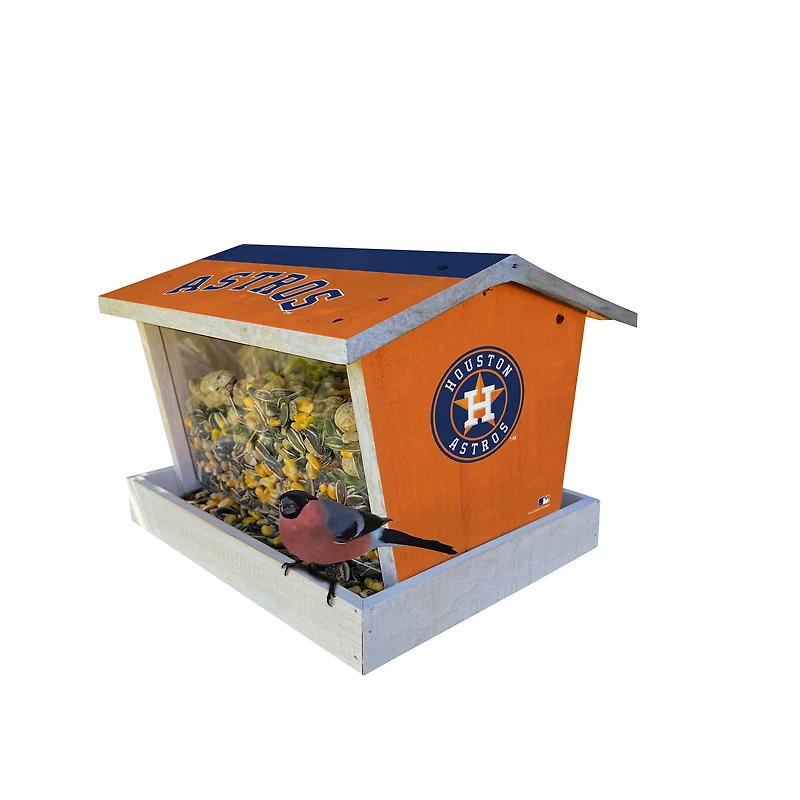 Houston Astros Team Pride Bird Feeder