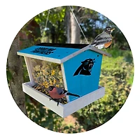 Carolina Panthers Team Pride Bird Feeder