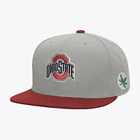 Men's Mitchell & Ness  Gray/Scarlet Ohio State Buckeyes Plaid OG Snapback Hat