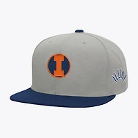 Men's Mitchell & Ness  Gray/Navy Illinois Fighting Illini Plaid OG Snapback Hat