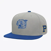 Men's Mitchell & Ness  Gray/Royal Pitt Panthers Plaid OG Snapback Hat