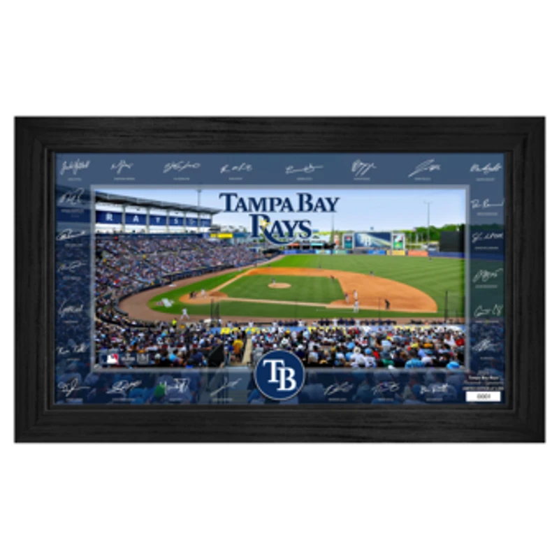 Highland Mint Tampa Bay Rays Framed 12" x 20" 2025 Signature Field Photograph - Facsimile Signatures - Limited Edition of 5,000