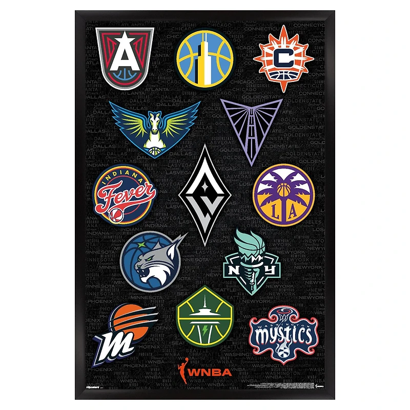 WNBA 24" x 36" Framed Poster