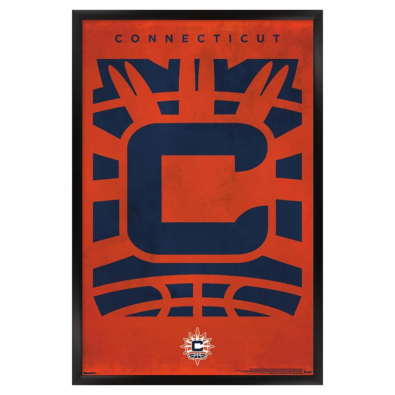 Connecticut Sun 24" x 36" Framed Poster