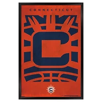 Connecticut Sun 24" x 36" Framed Poster