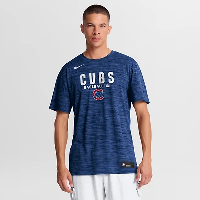 Men's Nike Royal Chicago Cubs Authentic Collection Velocity Dri-FIT T-Shirt
