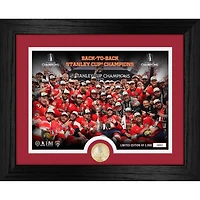 Highland Mint Florida Panthers 2025 Stanley Cup Champions 13" x 16" Celebration Photo Bronze Coin Mint