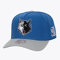 Men's Mitchell & Ness  Blue Minnesota Timberwolves Hardwood Classics Legendary Away Pro-Pinch Adjustable Hat