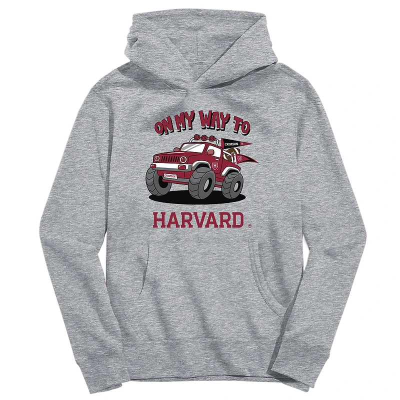 Youth Vive La Fete Gray Harvard Crimson On My Way To Pullover Hoodie