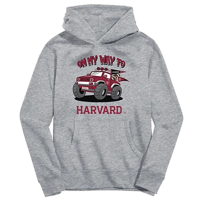 Youth Vive La Fete Gray Harvard Crimson On My Way To Pullover Hoodie