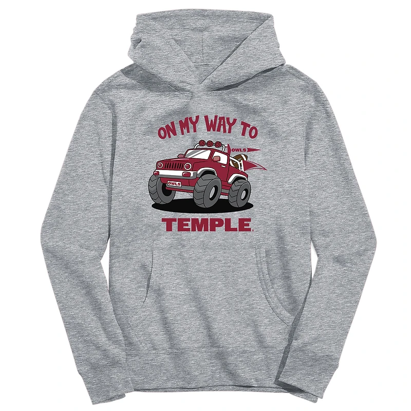 Youth Vive La Fete Gray Temple Owls On My Way To Pullover Hoodie