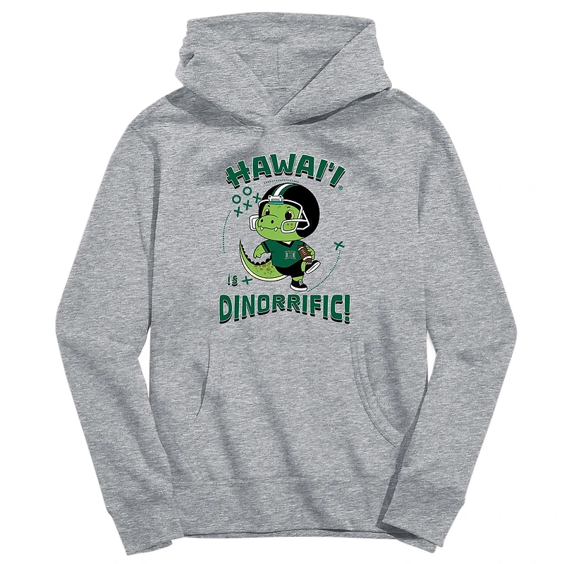 Youth Vive La Fete Gray Hawaii Rainbow Warriors Dino-Rrific Pullover Hoodie