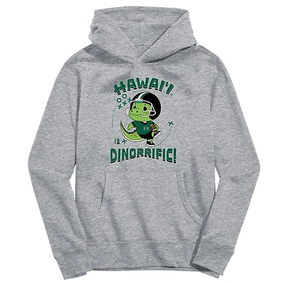 Youth Vive La Fete Gray Hawaii Rainbow Warriors Dino-Rrific Pullover Hoodie