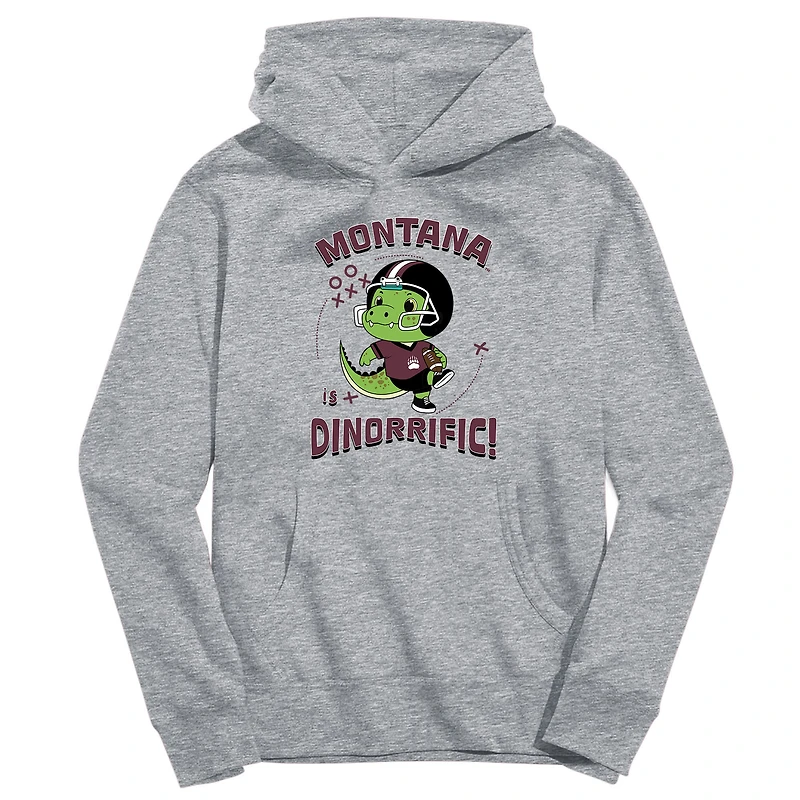 Youth Vive La Fete Gray Montana Grizzlies Dino-Rrific Pullover Hoodie