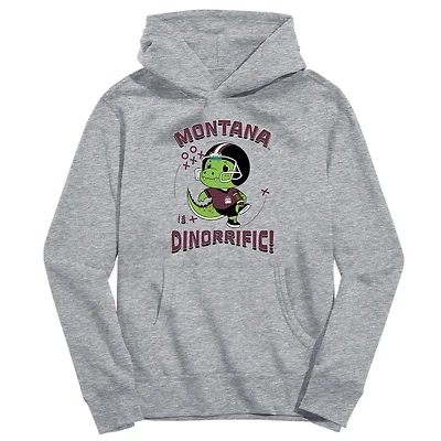Youth Vive La Fete Gray Montana Grizzlies Dino-Rrific Pullover Hoodie