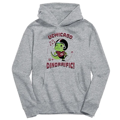 Youth Vive La Fete Gray UChicago Maroons Dino-Rrific Pullover Hoodie