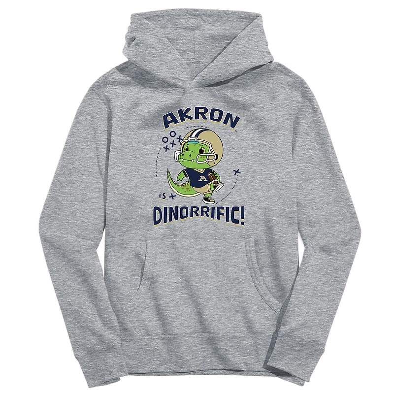 Youth Vive La Fete Gray Akron Zips Dino-Rrific Pullover Hoodie