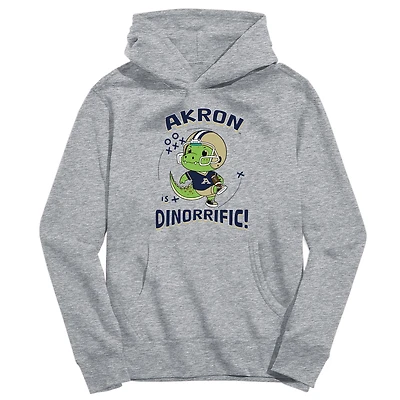 Youth Vive La Fete Gray Akron Zips Dino-Rrific Pullover Hoodie