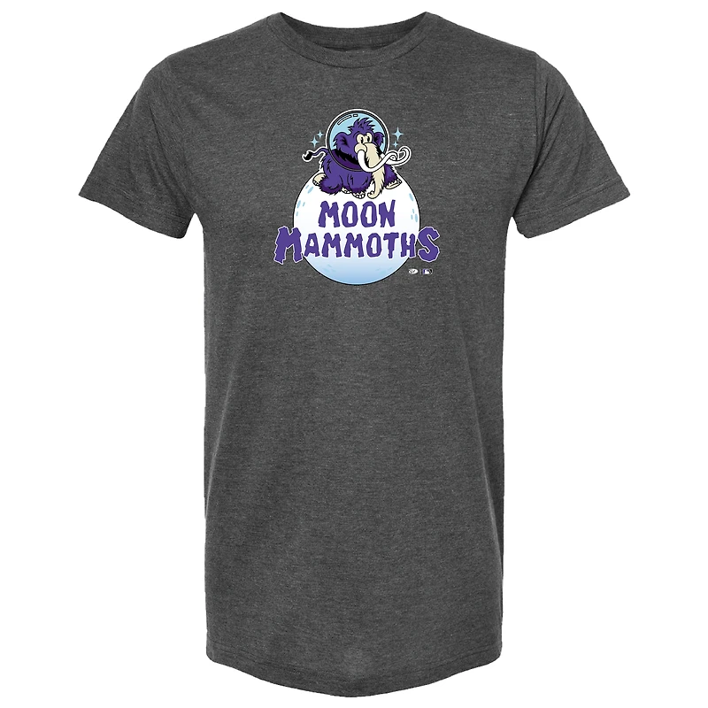 Unisex Gray Erie SeaWolves Moon Mammoths Alternate T-Shirt