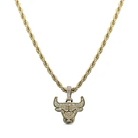 The GLD Shop Chicago Bulls 18K Yellow Gold Logo Pendant & 20" Rope Chain