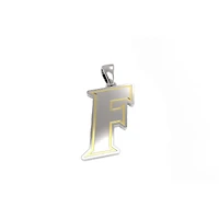 FanDrip Florida Gators 24" Stainless Steel Pendant Necklace