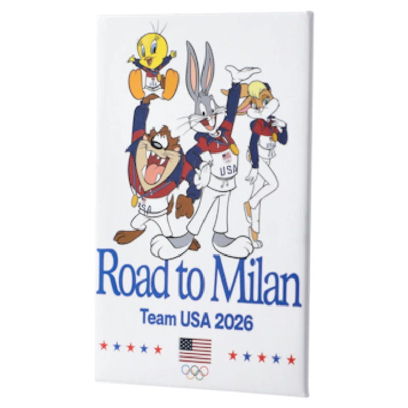 Team USA Road to Milan 2" x 3" Magnet