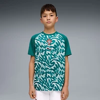 Youth Puma Green Portugal National Team Pre-Match Jersey