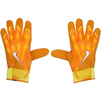 Pete Alonso New York Mets Player-Issued Nike Batting Gloves from the 2025 MLB Season