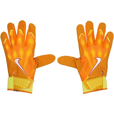 Pete Alonso New York Mets Player-Issued Nike Batting Gloves from the 2025 MLB Season