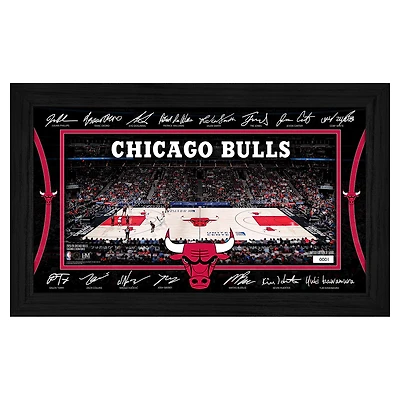 Highland Mint  Chicago Bulls 2025 Signature Court Framed Picture