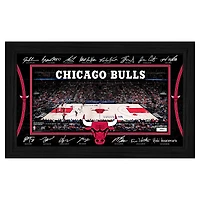 Highland Mint  Chicago Bulls 2025 Signature Court Framed Picture