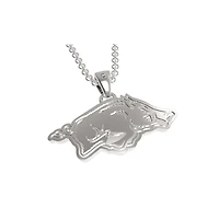 FanDrip Arkansas Razorbacks 17" Stainless Steel Pendant Necklace