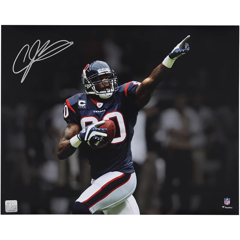Andre Johnson Houston Texans Autographed 16" x 20" Touchdown Celebration Pointing Spotlight Photograph
