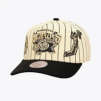 Men's Mitchell & Ness Cream Vancouver Grizzlies Hardwood Classics Retro Roots Stripe Pro Adjustable Hat