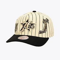 Men's Mitchell & Ness Cream Philadelphia 76ers Hardwood Classics Retro Roots Stripe Pro Adjustable Hat