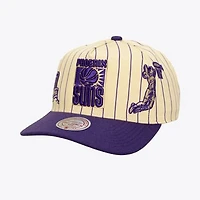 Men's Mitchell & Ness Cream Phoenix Suns Hardwood Classics Retro Roots Stripe Pro Adjustable Hat