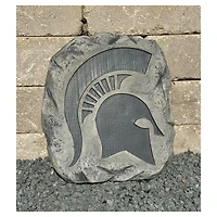 Michigan State Spartans Stepping Stone