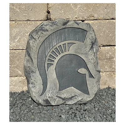 Michigan State Spartans Stepping Stone