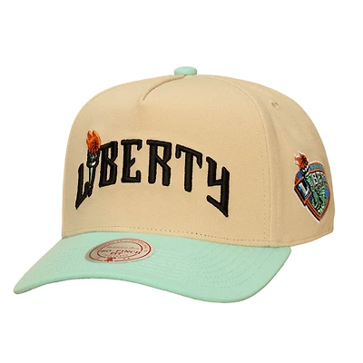 Unisex Mitchell & Ness Khaki/Mint New York Liberty Two-Tone Pro Pinch Snapback Hat