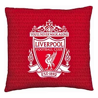 Liverpool 16" x 16" Character World Two-Sided Reversible Cushion
