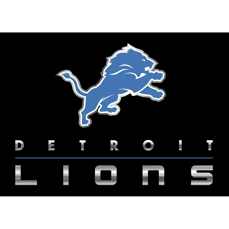 Imperial Detroit Lions 3'10'' x 5'4'' Chrome Rug