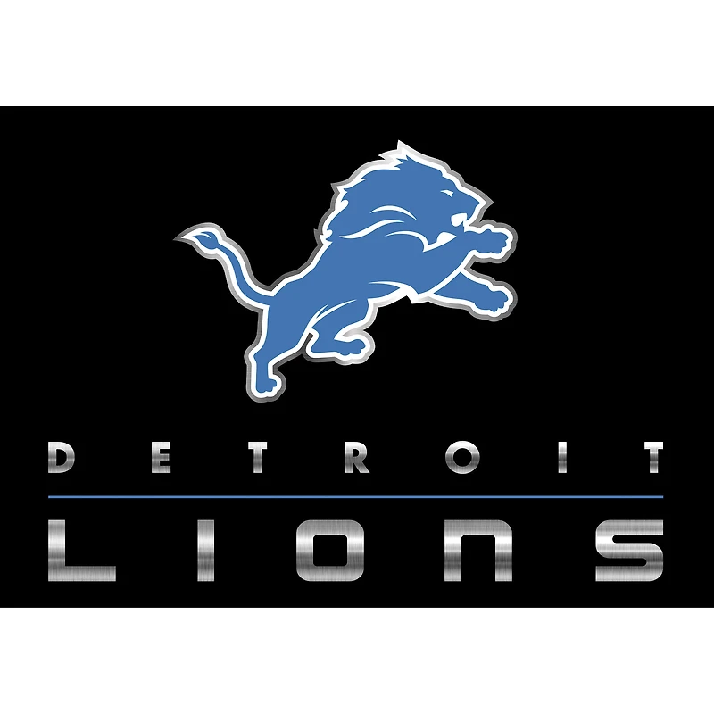 Imperial Detroit Lions 7'8'' x 10'9'' Chrome Rug