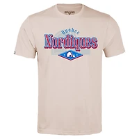Men's Levelwear Khaki Quebec Nordiques Richmond Backdrop T-Shirt