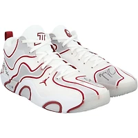 Jayson Tatum Boston Celtics Autographed Game-Used White/Red Jordan Shoes vs. Toronto Raptors on January 15, 2025
