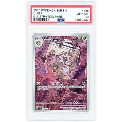 Lileep 2024 Pokemon Scarlet & Violet Stellar Crown Illustration Rare #145 PSA Authenticated 10 Card