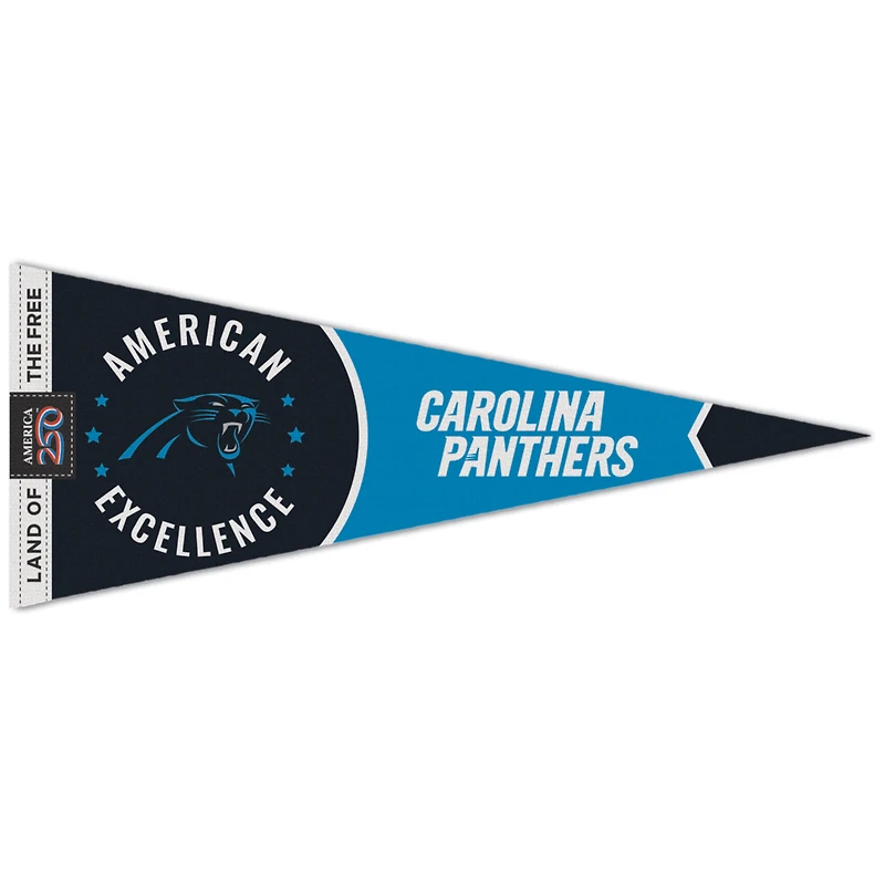 WinCraft Carolina Panthers 12" x 30" America 250 Premium Pennant